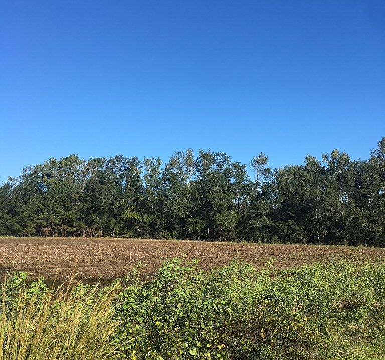 2nd image of 2636 Hwy 260