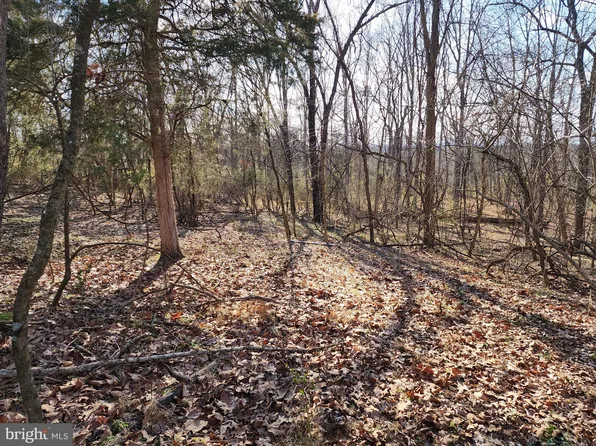 63 Lindas Ln, Kearneysville, WV 25430