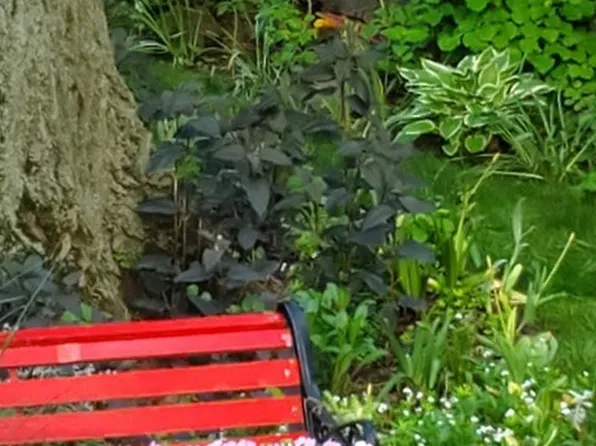 54 City Boulevard image 39 of 45