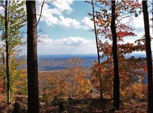 16854 Downey View Dr, Sale Creek, TN 37373