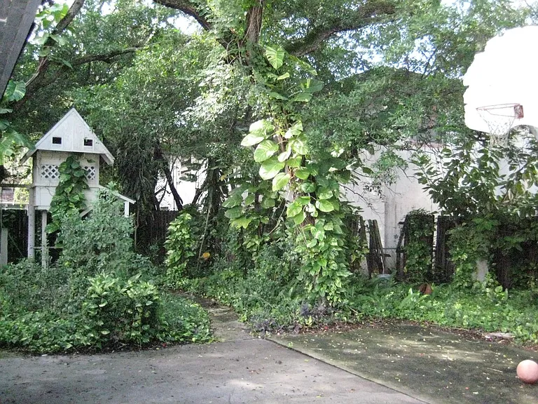 909 Magnolia Dr #HOUSE — Photo 29