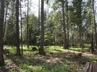 Nna River Lake Dr, Clark Fork, ID 83811