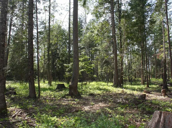 Nna River Lake Dr, Clark Fork, ID 83811