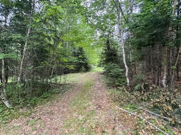 M2 L21-1 S Ridge Road, Palmyra, ME 04965