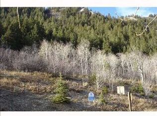 1332 Deer Blvd, Avon, CO 81620