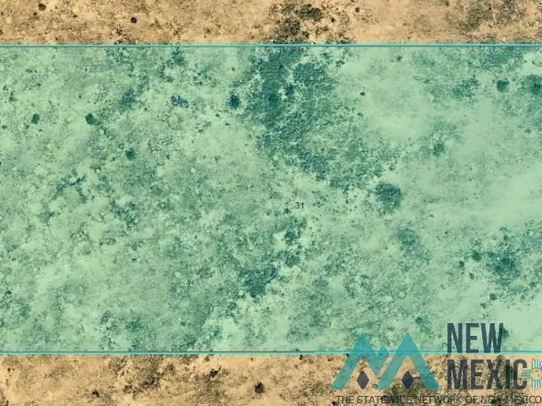 0 S 31 T 14s R 26e #2NE4SW4NE4, Hagerman, NM 88232