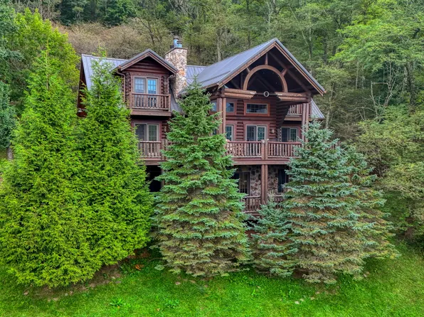 1820 Thornhill Dr, Snowshoe, WV 26209