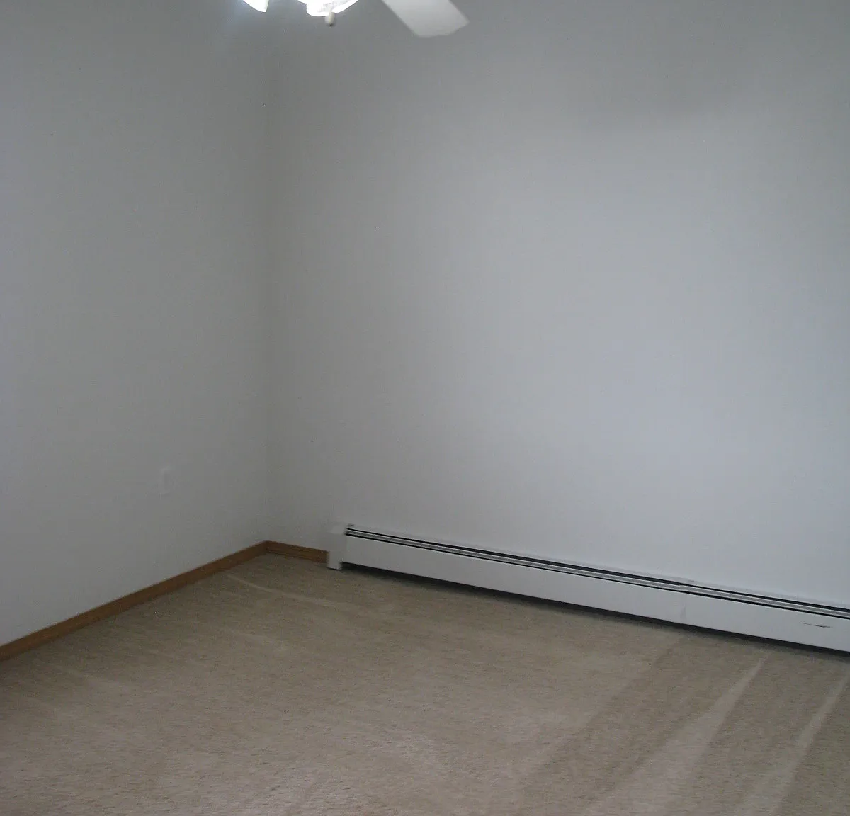 2 bed, $950 — Photo 4