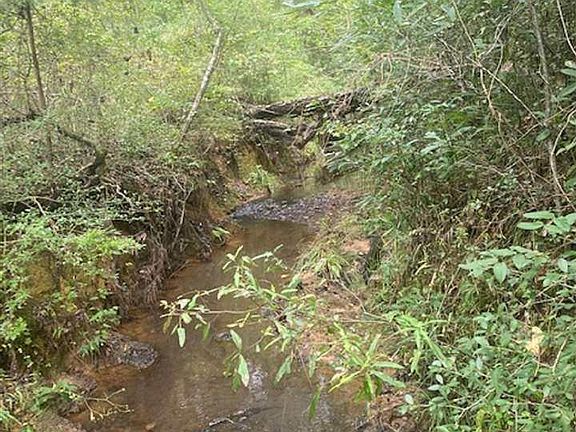 4th image of 450 County Road 4502