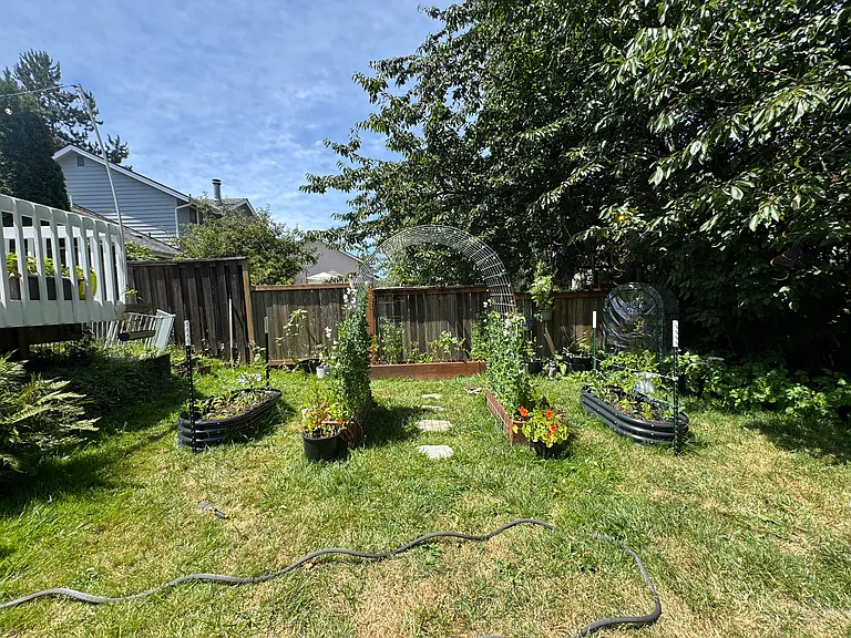 Raised Bed Garden in Bloom