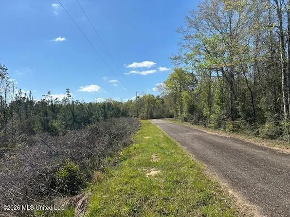Austin Smith Rd, Ruth, MS 39662