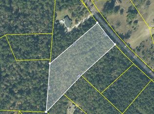 12080 Bloomville Rd, Manning, SC 29102