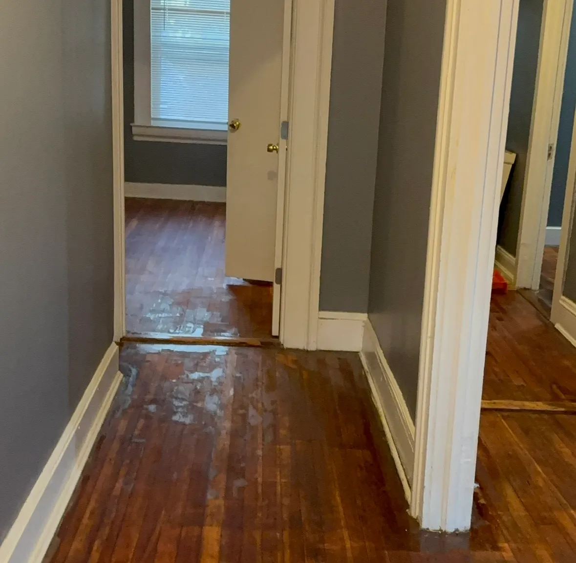 2 bed, 1100 sqft, $1,500 — Photo 1