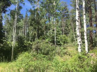 14 Los Ranchitos Dr, Durango, CO 81301