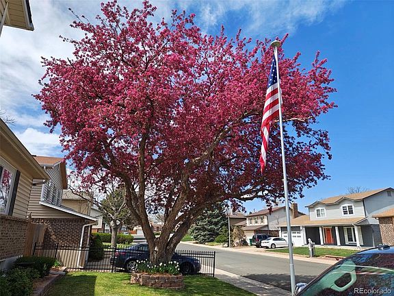 3rd image of 6122 W 113th Avenue