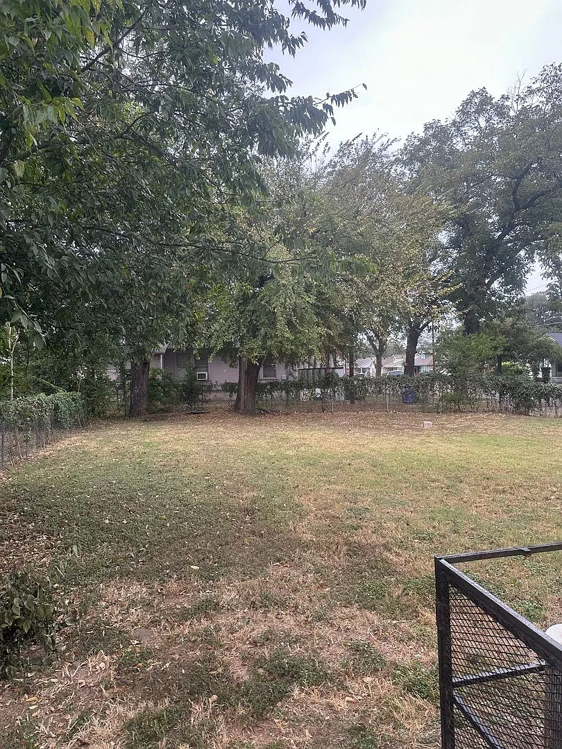 Section 8 — Photo 2