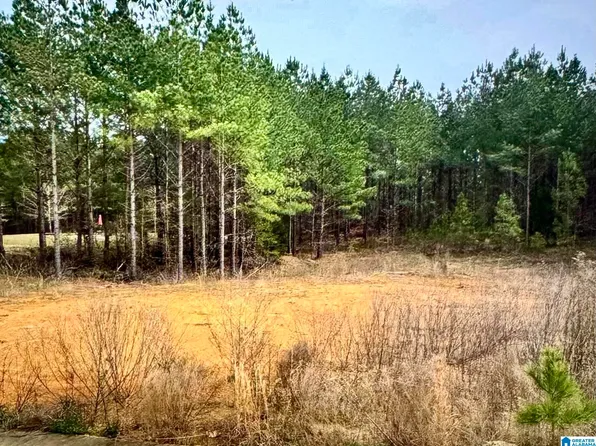 185 Stone Cove Dr #516, Odenville, AL 35120