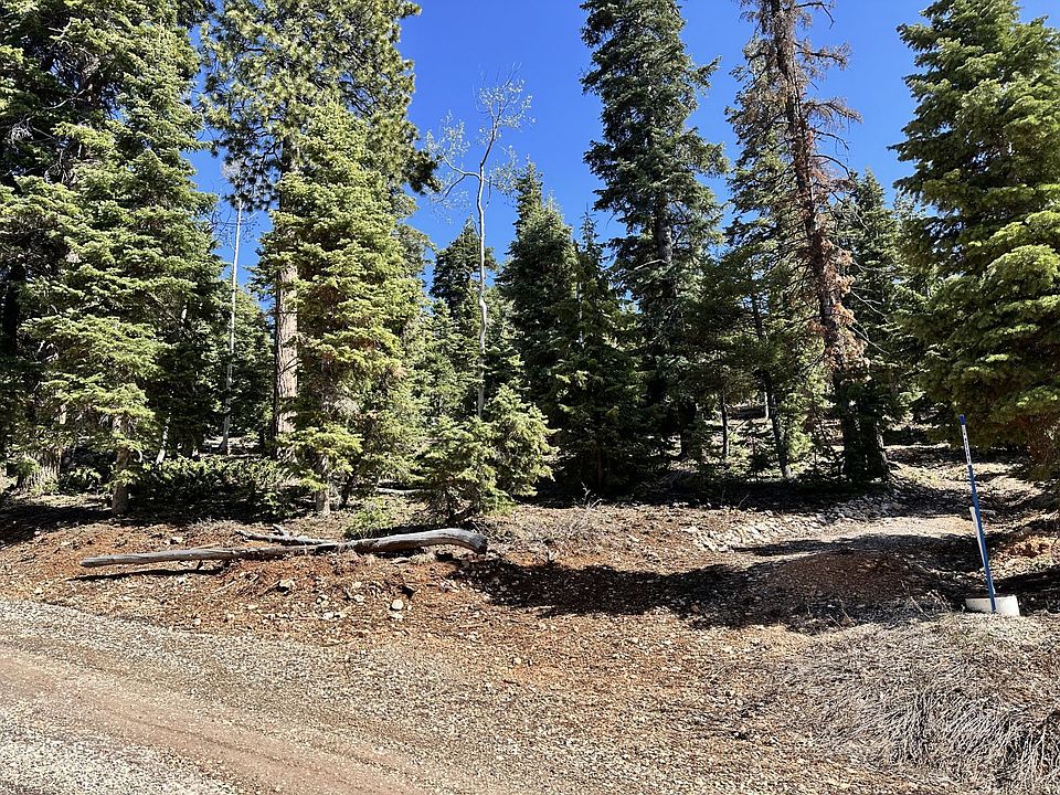 1st image of 915 W Shale Nck