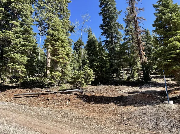 915 W Shale Nck, Creek Village, UT 94762