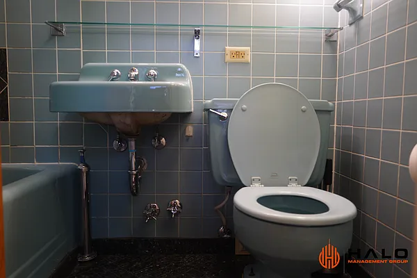 Rented by Halo Management Group | media 31