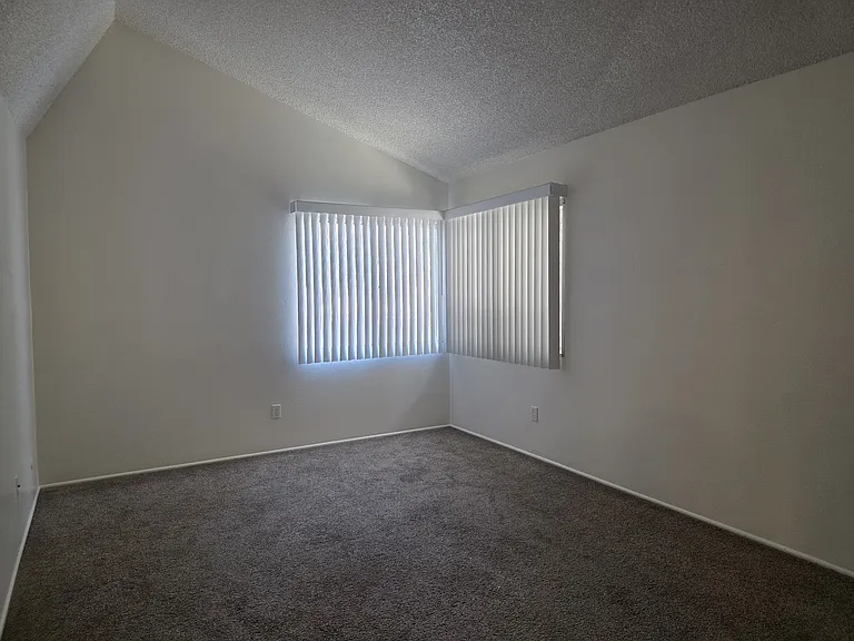 Vaulted Ceilings in Master Bedroom