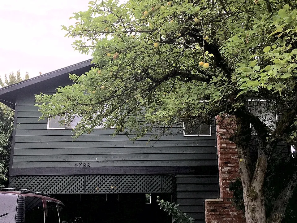 4728 4th Ave NE