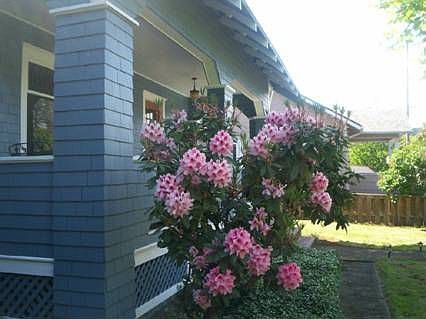 Front Porch/Rhodie