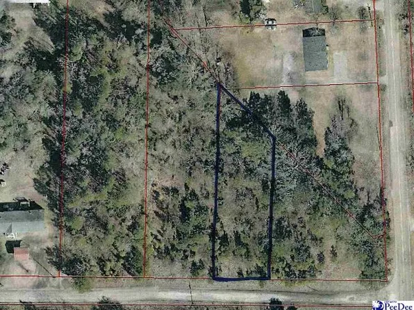 1307 Quail Arbor Cir, Florence, SC 29506