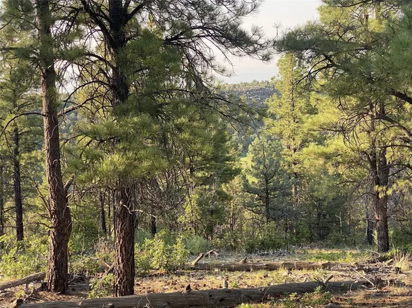TRACT D 4b #1, Tierra Amarilla, NM 87575