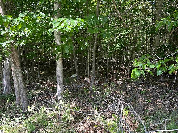 5th image of Lots 33 34 35 Bay Colony Rd
