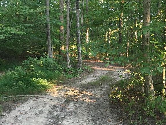 2nd image of 14 Mile Crk
