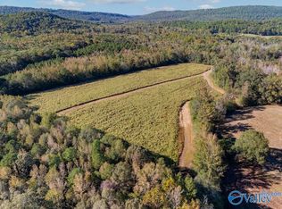 5395 Fairview Cove Rd, Altoona, AL 35952