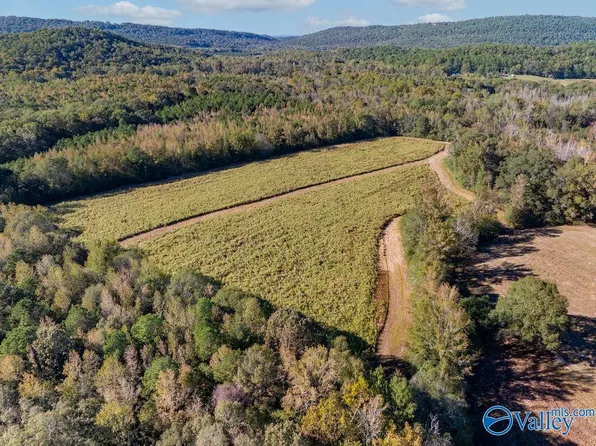 5395 Fairview Cove Rd, Altoona, AL 35952