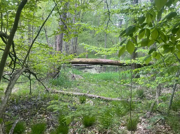 6650 103rd Ave, South Haven, MI 49090