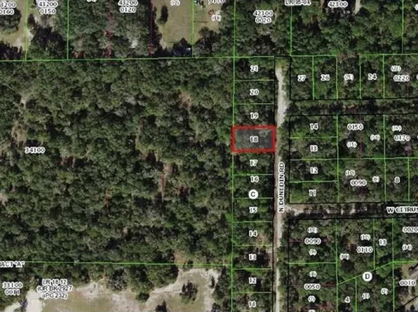 10452 N Dunedin Rd Lot 1800, Dunnellon, FL 34433