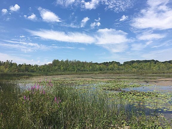 Mud Lake