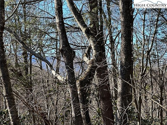 3rd image of Lot 1 Hummingbird Lane