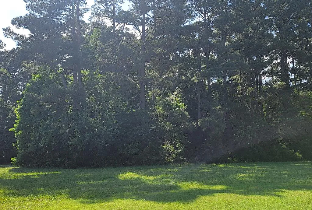 LOT 67 Atlantic St photo 1