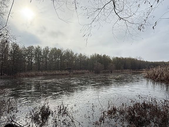 3rd image of 118 Cloar Rd