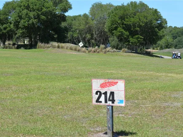 31972 Red Tail Blvd #214, Sorrento, FL 32776