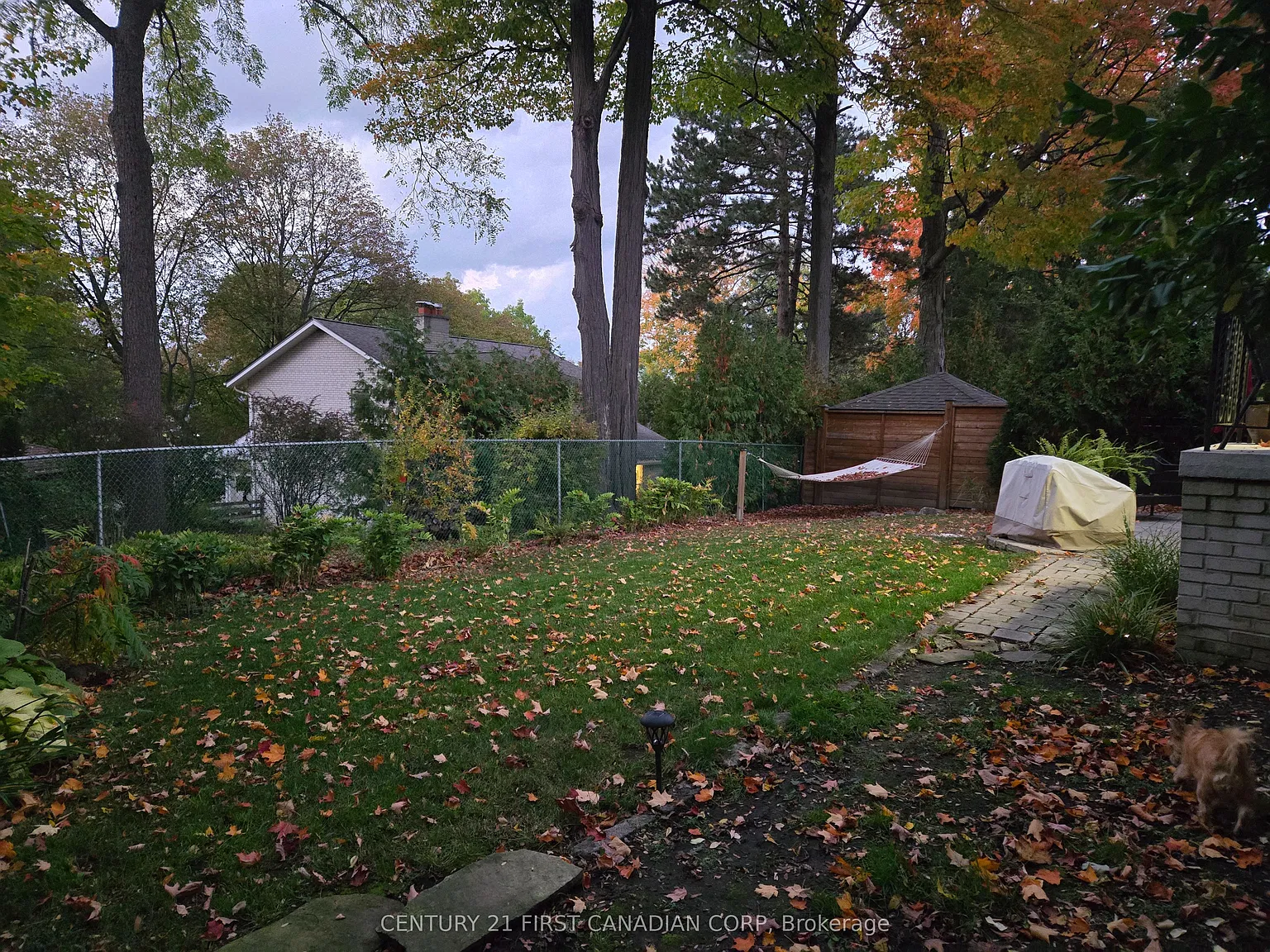 2 bed, $2,300 — Photo 2