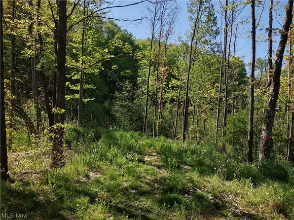 Allyn Rd, Hiram, OH 44234