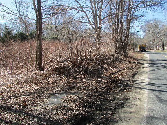 Strawberry Hill Rd frontage