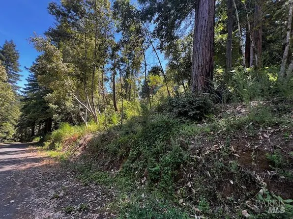 17599 Woods Avenue, Guerneville, CA 95446