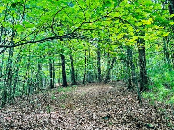 TBD Griffin Lane, Millers Creek, NC 28651