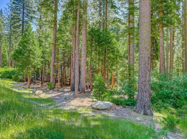 11 Timber Trail Ct, Arnold, CA 95223