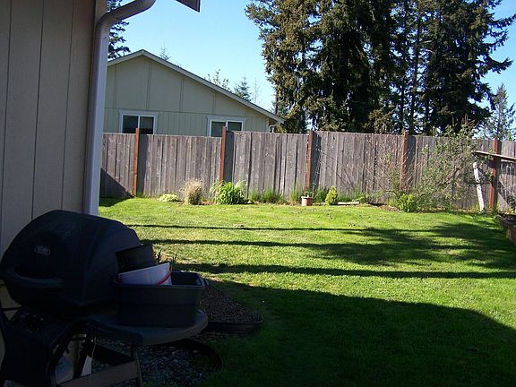 North side of backyard
