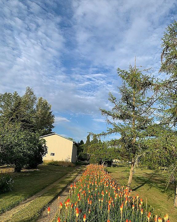 1102 McFarland Dr, Sequim, WA 98382 Zillow