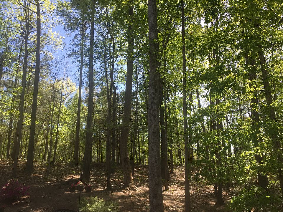 View from front porch