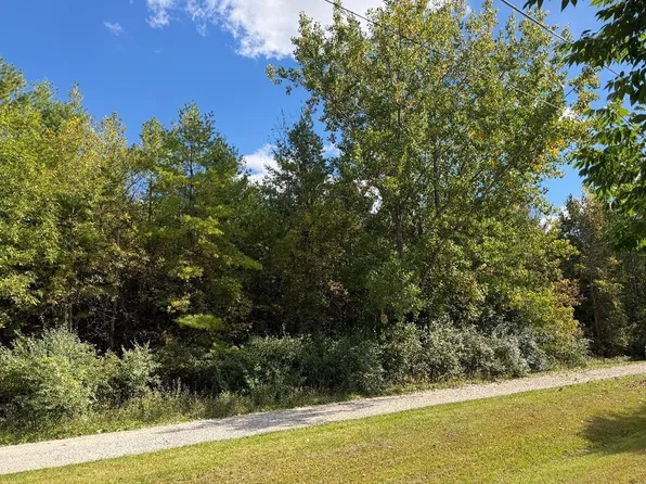 Vl N Weeping Willow Rd, Sanford, MI 48657